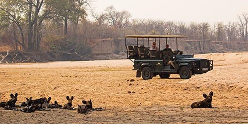 wildlife trips uk